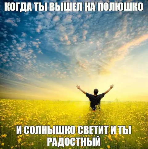 Солнышко светит и ты радостный