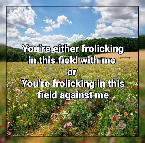 Frolicking Together or Against Me