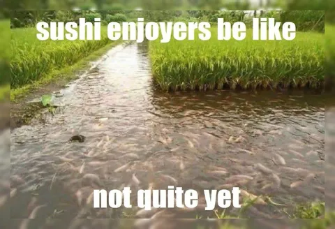 Sushi Enjoyers Be Like