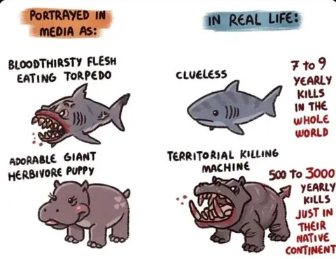 Portrayed in Media vs Real Life