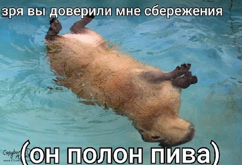 Медведь пропил сбережения