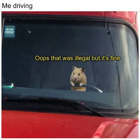 Hamster Driving Illegally
