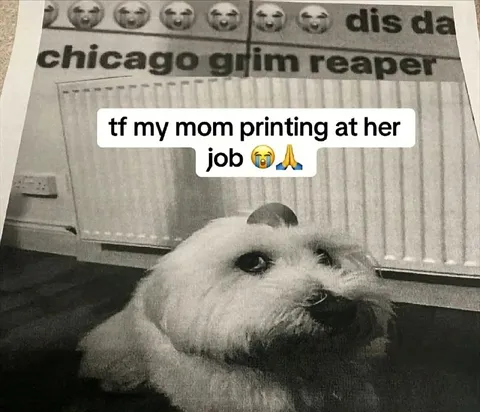 Mom Printing at Work