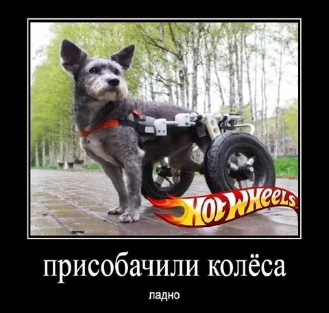 Присобачили колёса