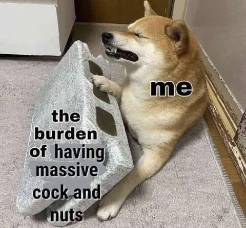 Dog Carries Massive Cock and Nuts