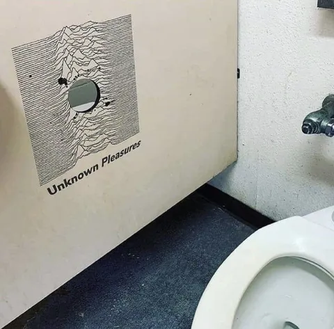 Unknown Pleasures Toilet