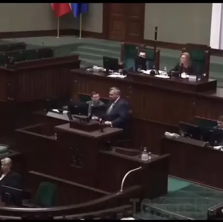 Музыкальный монтаж случайных реакций