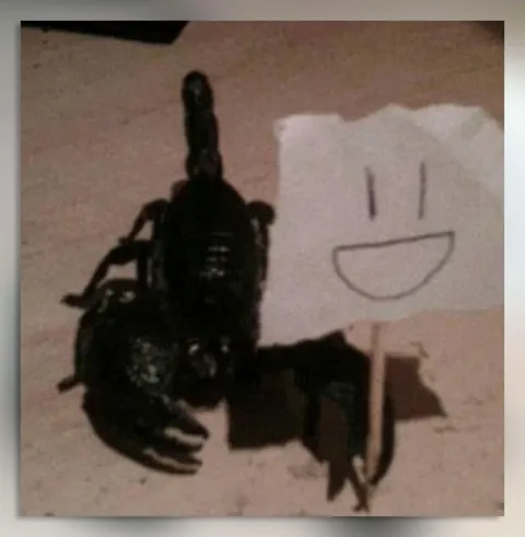 Чёрный жук с улыбкой