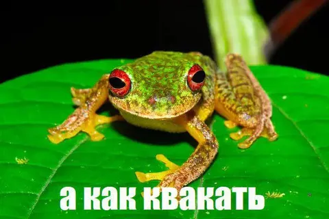 А как квакать