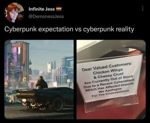 Cyberpunk Expectation vs Reality