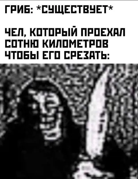 Проехал сто километров за грибом