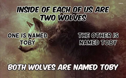 Two Wolves Named Toby