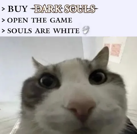 Dark Souls White Souls
