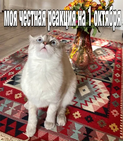 Честная реакция на 7 октября