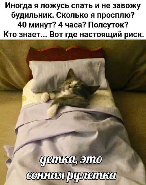 Кот и сонная рулетка