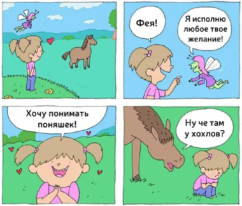 Фея исполняет желание понимать поняшек