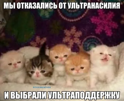Отказались от ультранасилия