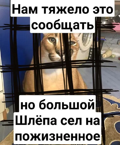 Большой Шлёпа сел на пожизненное