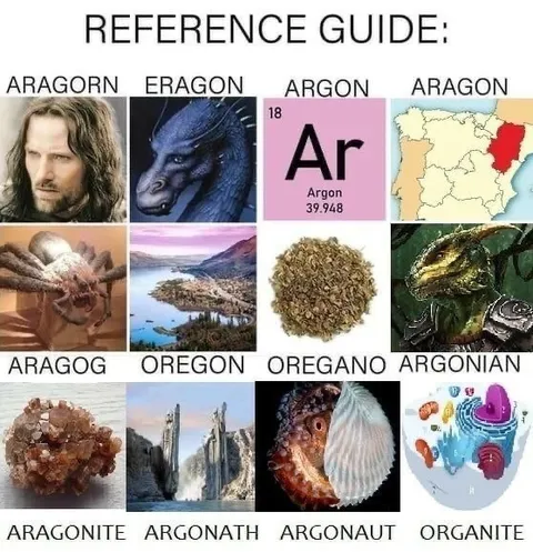 Aragorn Reference Guide
