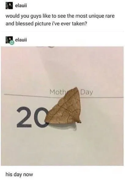 Moth Takes Over Mother's Day