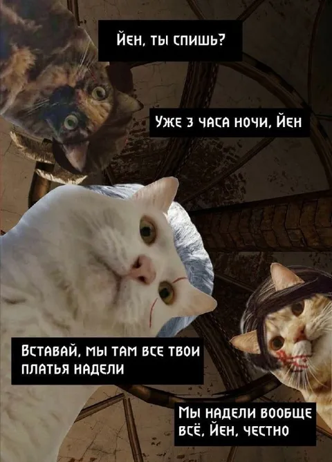 Коты надели платья Йен