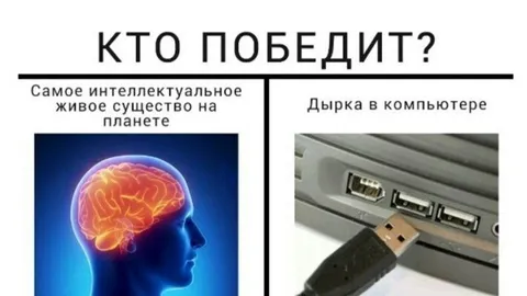 Кто победит: мозг или USB