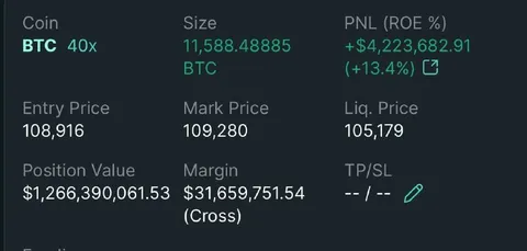 Forty Times Bitcoin Leverage