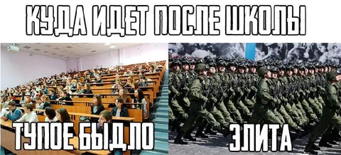 Куда идти после школы