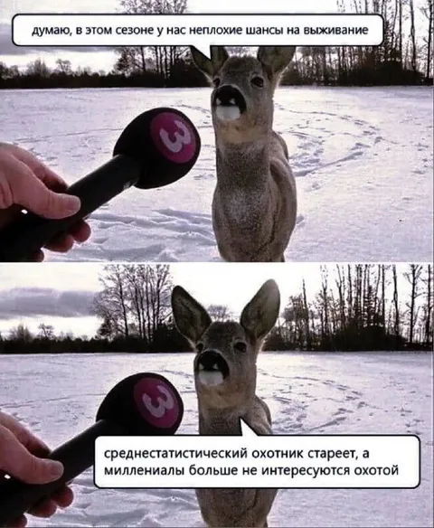 Олень о шансах на выживание