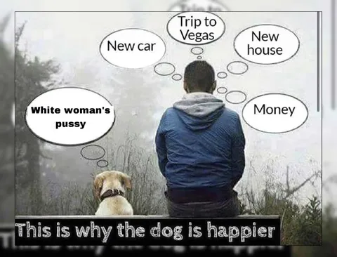 This Is Why the Dog Is Happier