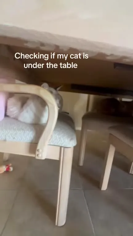 Checking Under the Table