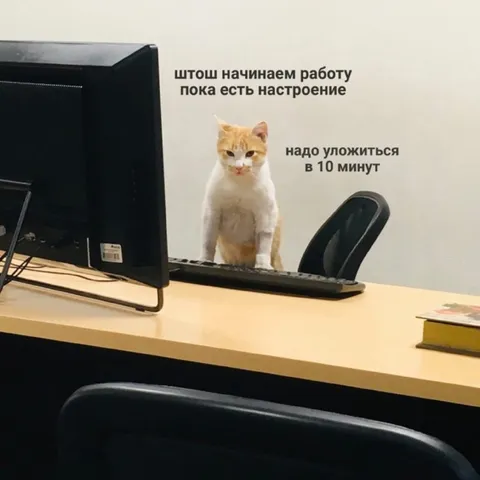 Начинаем работу пока есть настроение