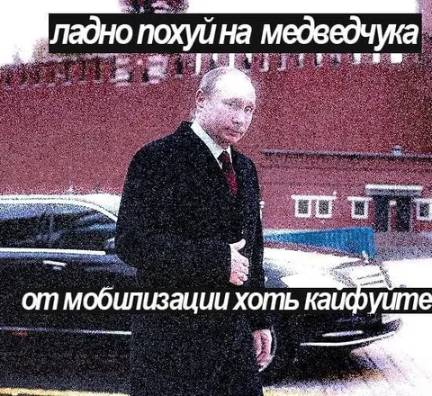 Похуй на медвежонка