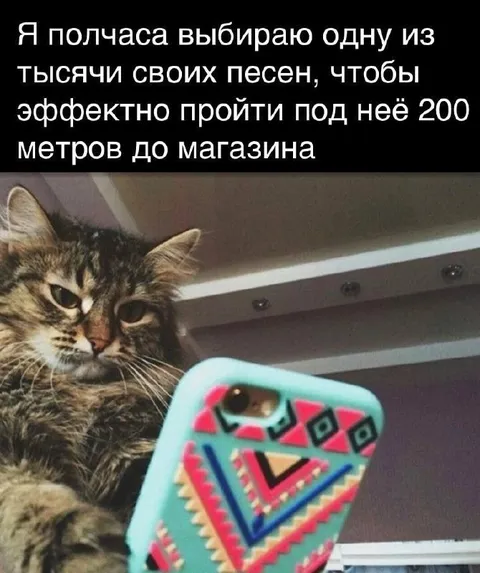 Полчаса выбирает песню для похода