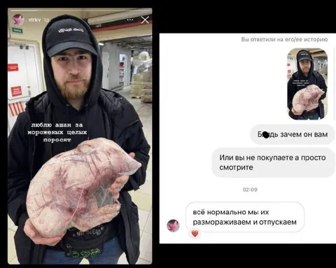 Мороженые целые поросята
