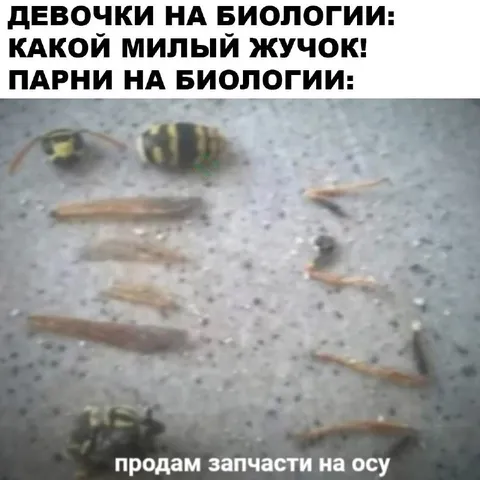 Девочки и парни на биологии