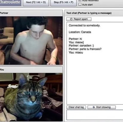 Chatroulette Cat Speaks French