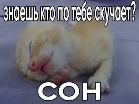 Кто по тебе скучает? Сон