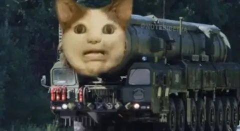 Кот на ракетной установке