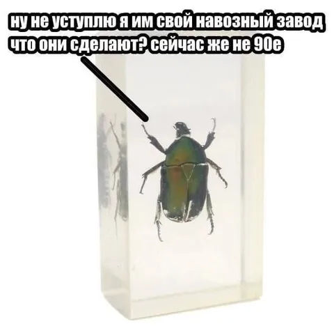 Навозный завод жука