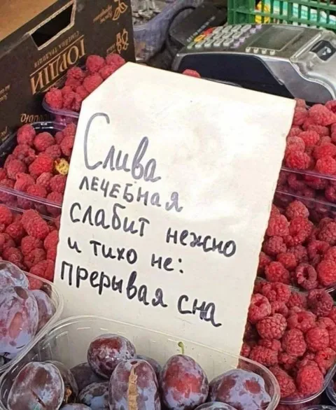 Слива слабит нежно
