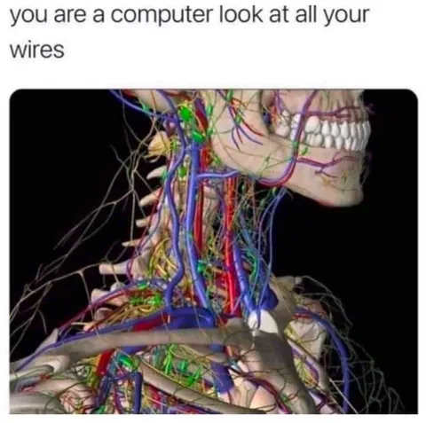 Computer Looks at Your Wires