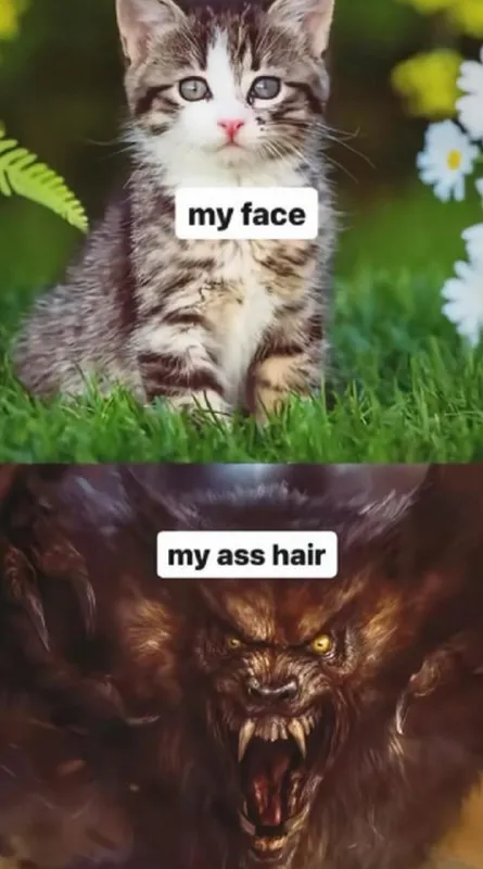 My Face, My Ass Hair