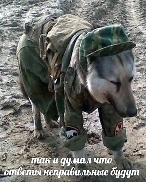 Когда ответы неправильные