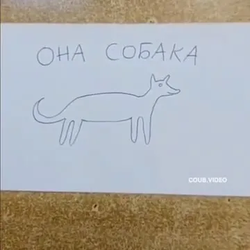 Собака воскресла и бухает