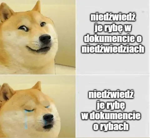 Doge ogląda dokument o rybach