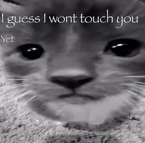 I Guess I Wont Touch You Yet