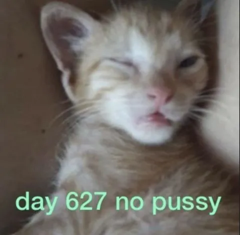 Day 627 No Pussy