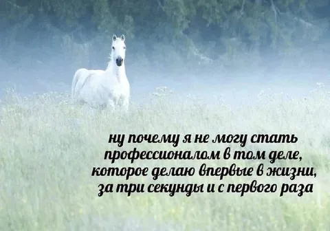 Профессионал за три секунды