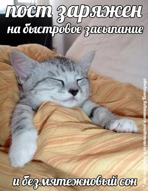 Кот для быстрого засыпания